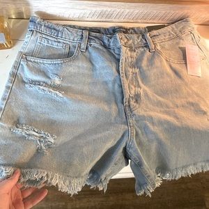 Brand New Wild Fable size 14 Frayed Shorts